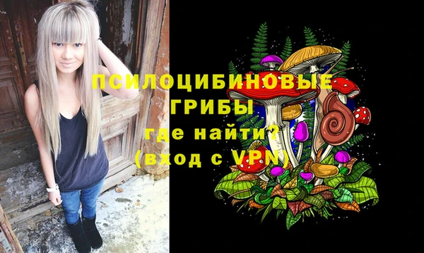 героин Алзамай