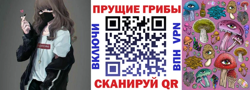 MEGA зеркало  Суздаль  Псилоцибиновые грибы Psilocybe 